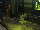 zeeaquarium
